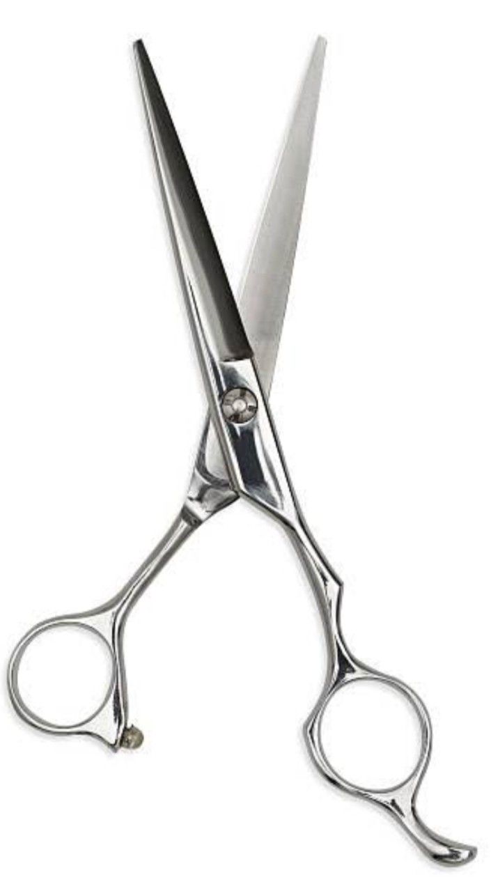 This is the sound of using scissors<audio controls src='/audio/Scissors copy.mp3'></audio>